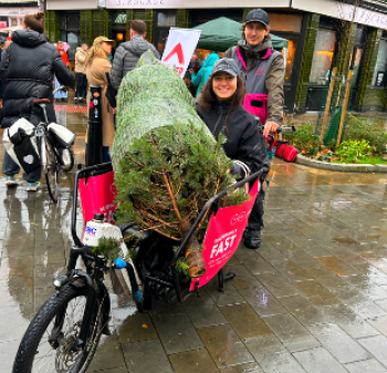 Xmas tree by cargo bike