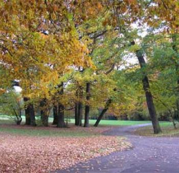 London walks London park walks